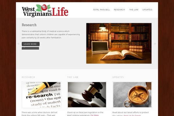 Dandelion theme site design template sample