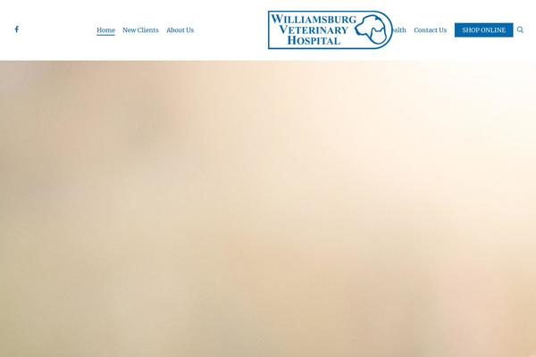 Site using Lifelearn-accessibility plugin