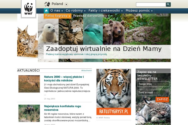 wwf WordPress theme, websites list used wwf theme wwf theme websites examples