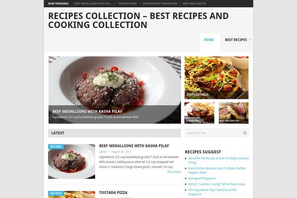Point theme site design template sample