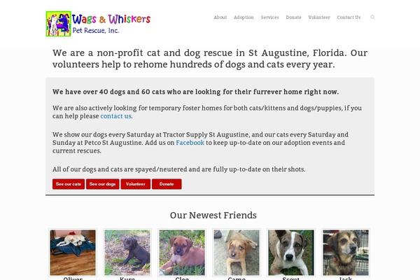 Site using Custom-facebook-feed-pro plugin