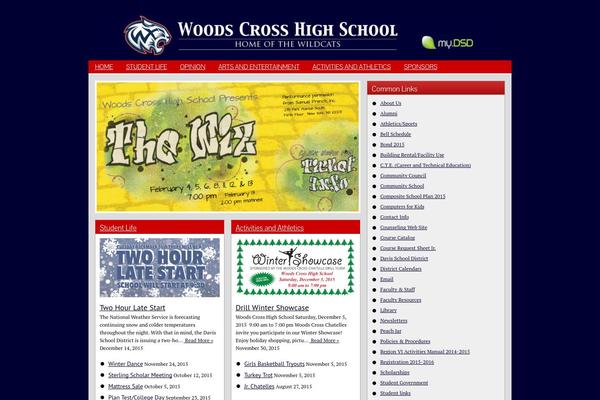 Site using WP Rocket plugin