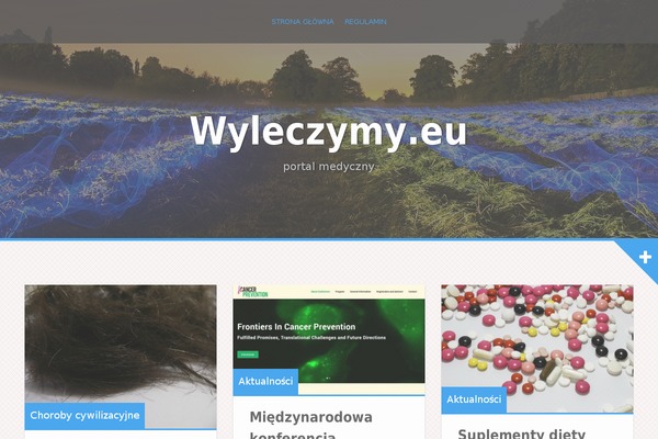 Alizee theme site design template sample