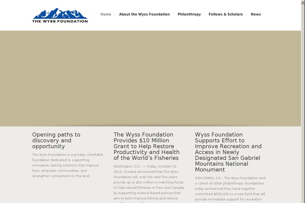 Choices theme site design template sample