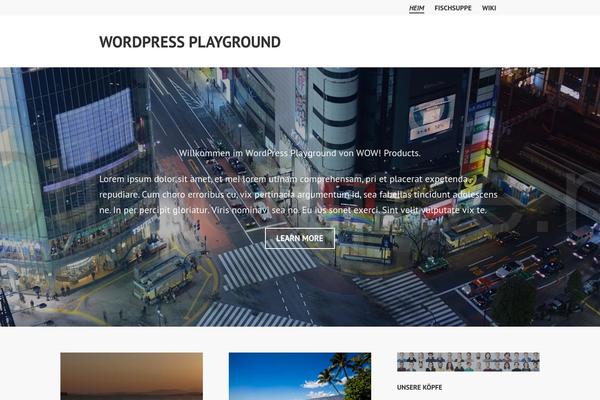 Edin theme site design template sample