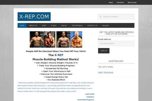 Metro Pro theme site design template sample