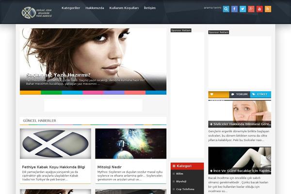 Optimablogs theme site design template sample