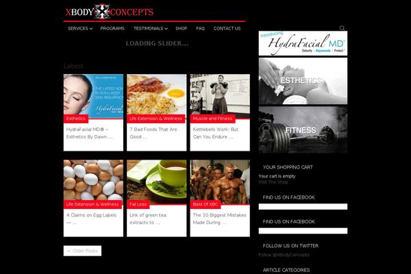Site using WP Google Search plugin