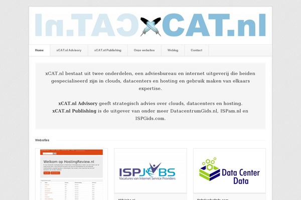 Beta theme site design template sample