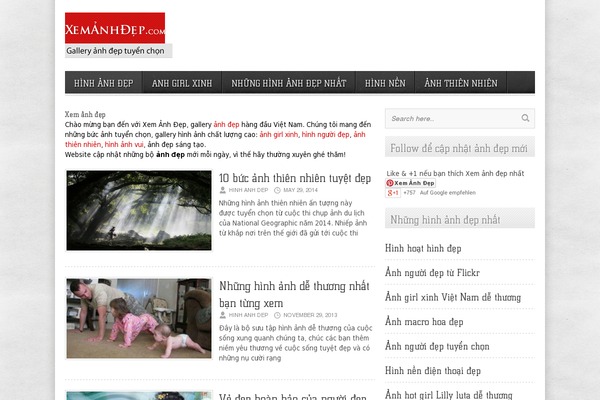 Best theme site design template sample