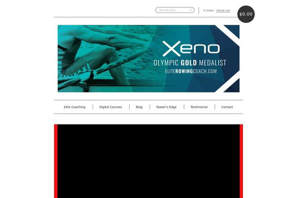 Site using Fancier Author Box by ThematoSoup plugin