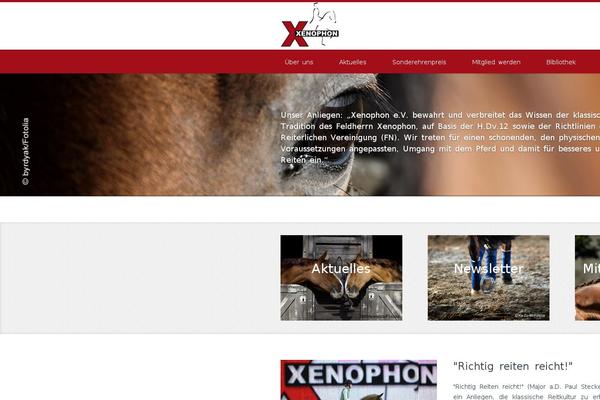 Site using Newsletter2go plugin