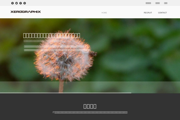 xerographix.co.jp site used Viteeo