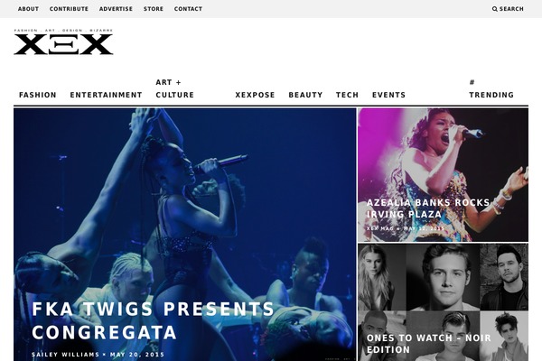 15Zine theme site design template sample