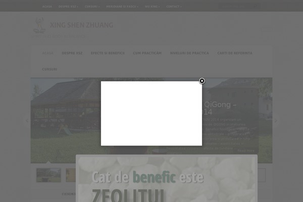 xingshenzhuang.ro site used Aggregate