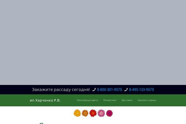 BeTheme theme site design template sample