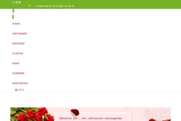Site using WooCommerce Bulk Discount plugin