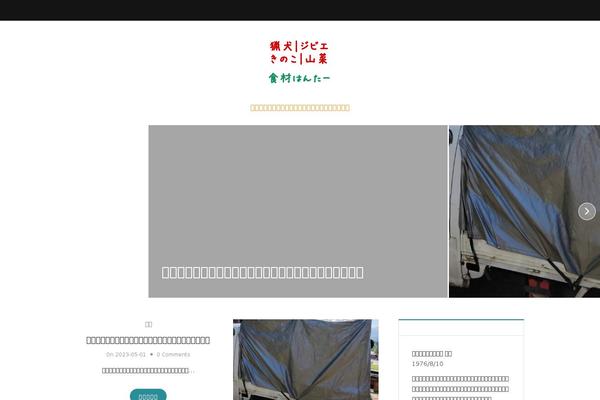 Holland theme site design template sample