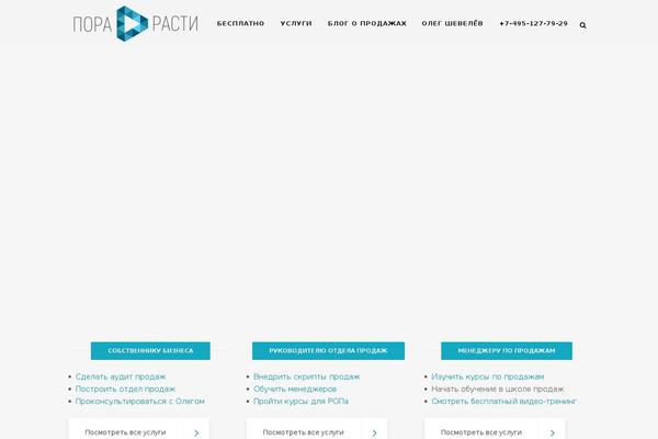 Site using Wpt-spm plugin