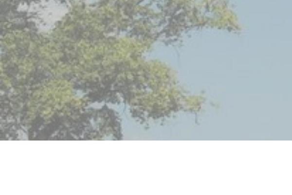Ekko theme site design template sample