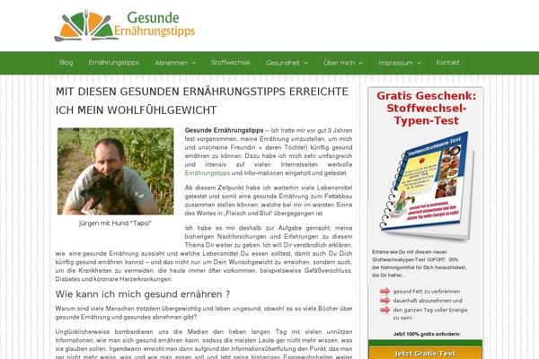 RedWaves Lite theme site design template sample