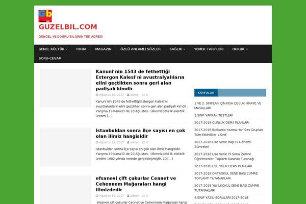 MH NewsMagazine theme site design template sample