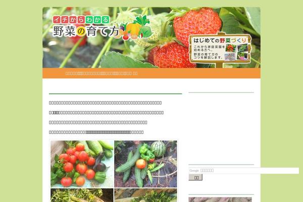 Site using Twenty Eleven Theme Extensions plugin