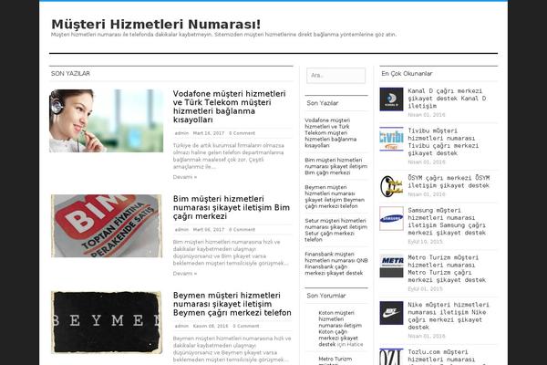 Silver Mag Lite theme site design template sample