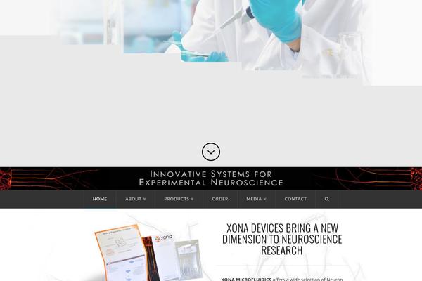 X | The Theme theme site design template sample