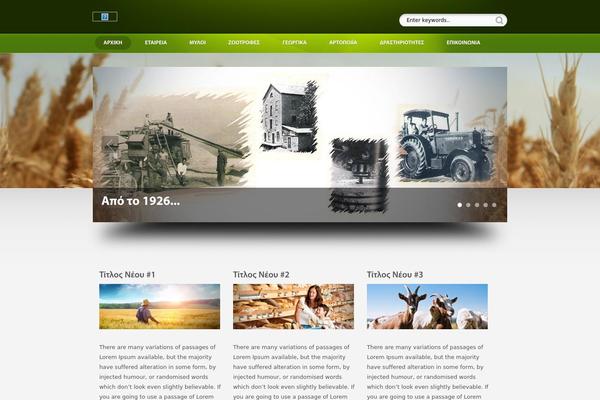 ShowTime theme site design template sample