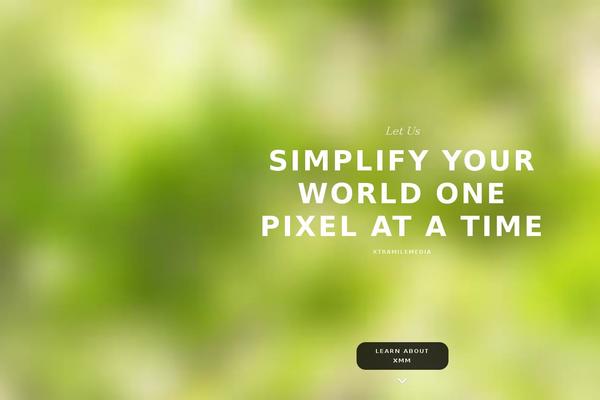 Willow theme site design template sample