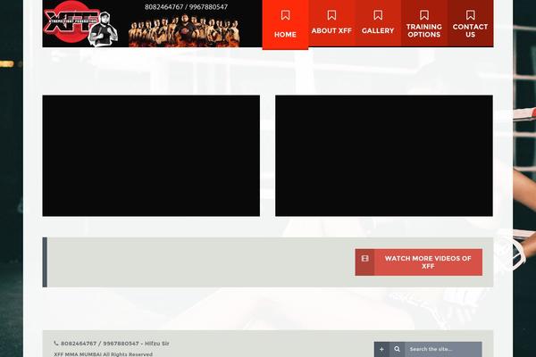 Gt3-wp-fit theme site design template sample