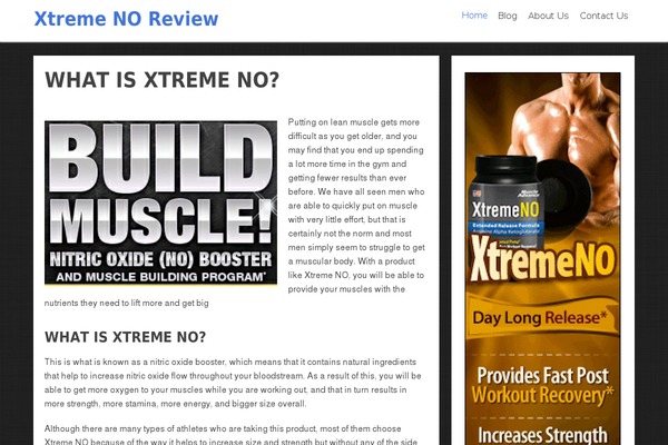 Focusblog theme site design template sample