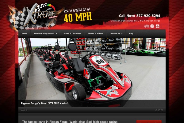 Akita theme site design template sample