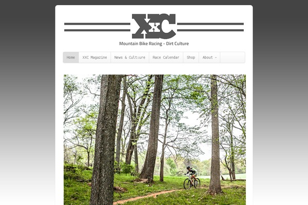 Site using Dynamic "To Top" Plugin plugin
