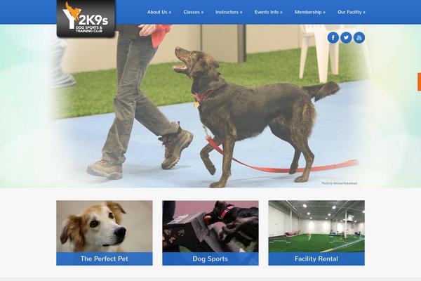 Divichild theme site design template sample