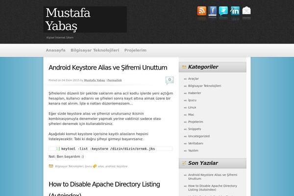 Absolum theme site design template sample