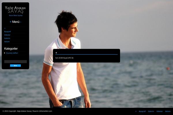 Big_picture theme site design template sample