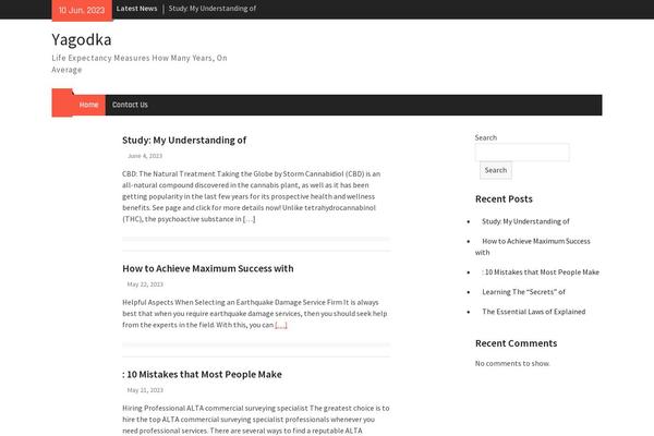 Magazine Plus theme site design template sample