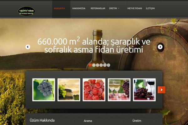 yalovatarim.com site used Theme1786