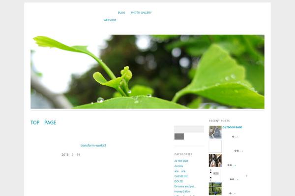 Site using WP Social Bookmarking Light plugin