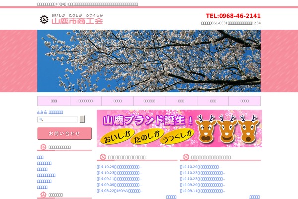 Site using Auto ThickBox Plus plugin