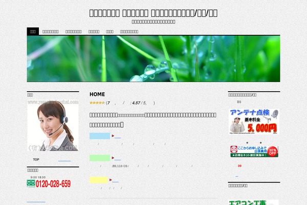 Site using Mts-simple-booking-c plugin