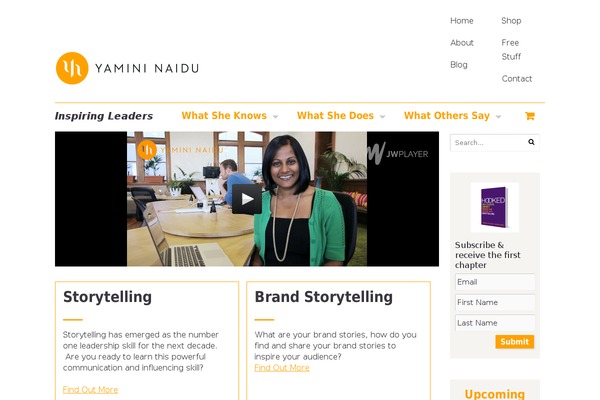 Pro theme site design template sample