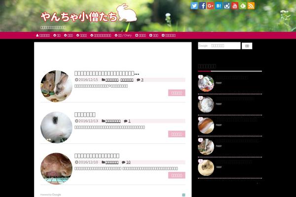 Cocoon-master theme site design template sample
