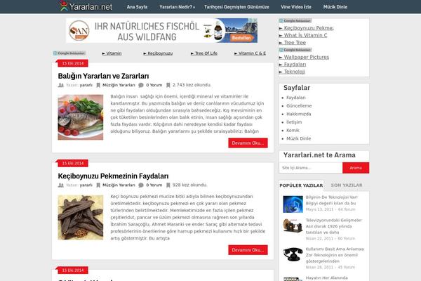 Ribbon theme site design template sample