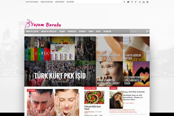 Hot Topix theme site design template sample