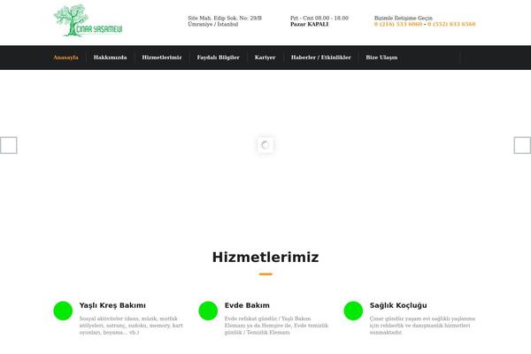 Consulting theme site design template sample