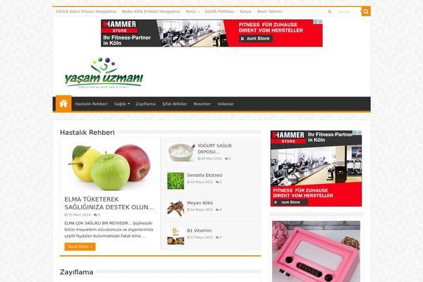 Site using Dzs-videogallery plugin