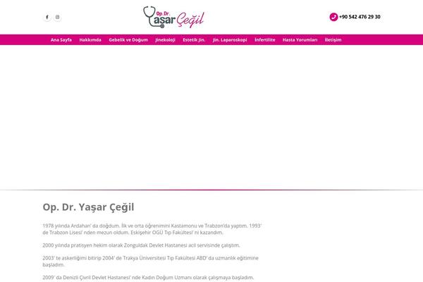 Phlox-pro theme site design template sample